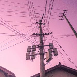 怎么在网站上黄色直播
