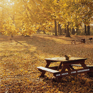 怎么在网站上黄色直播
