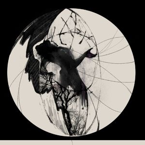 怎么在网站上黄色直播
