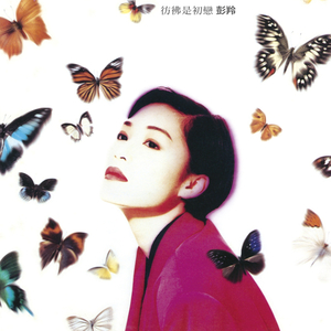 怎么在网站上黄色直播
